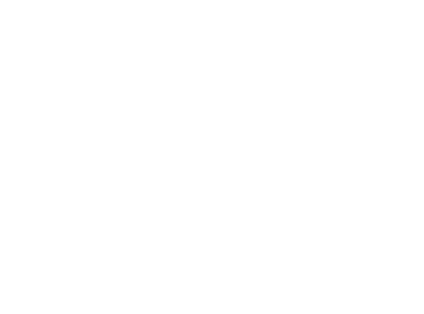 WebCoachLogo